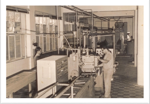Confectionary & Chocolate Company - Amman